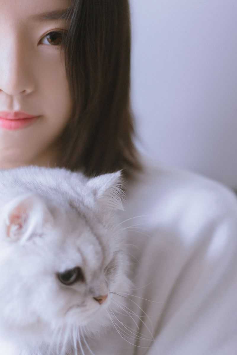 谷歌浏览器下载