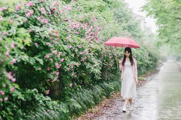 谷歌浏览器下载