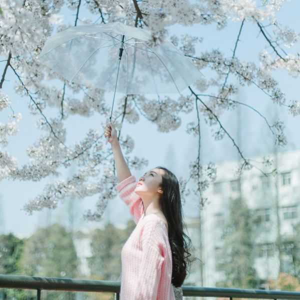 芒特加盟曼联后英超16场1球，菲利克斯回归切尔西第一场就进球