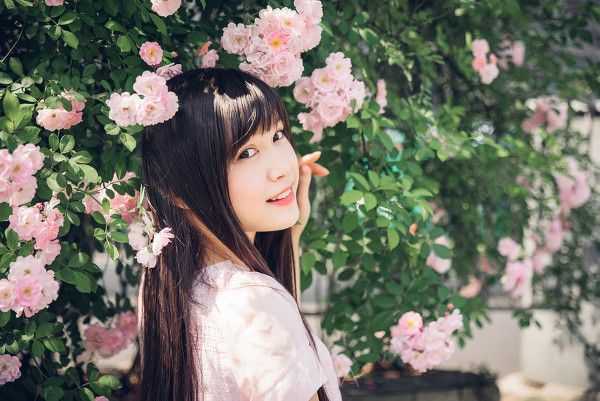 google chrome官网下载