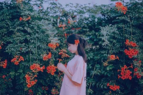 谷歌浏览器下载