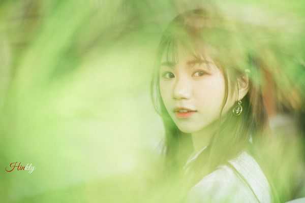 谷歌浏览器下载