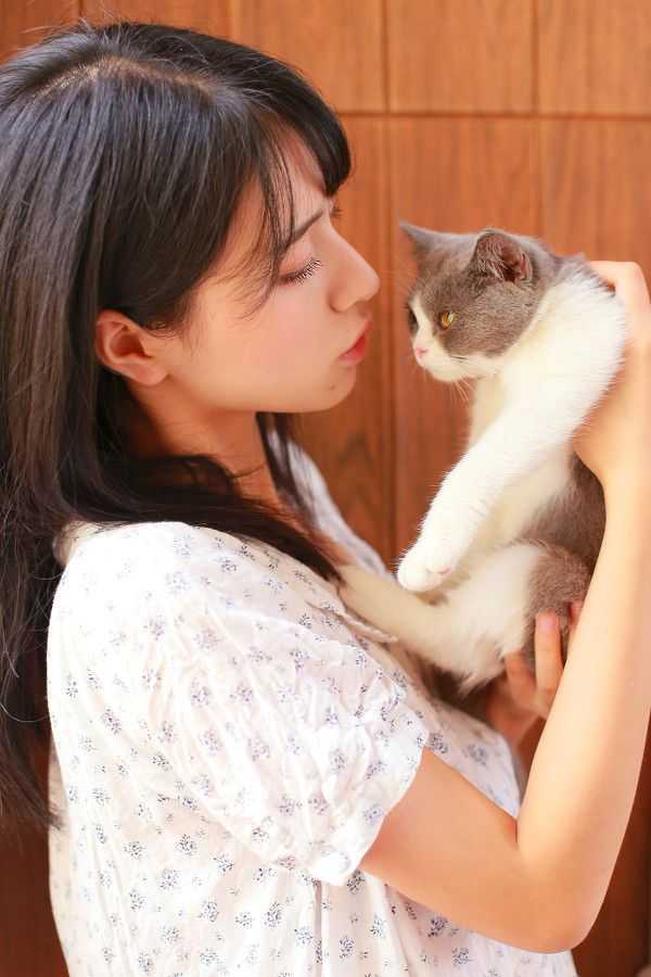 谷歌浏览器下载