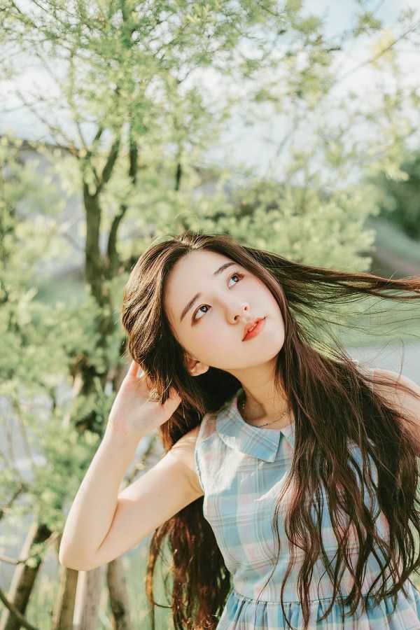 谷歌浏览器下载